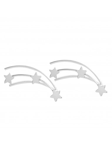 Pendiente trepador de plata.