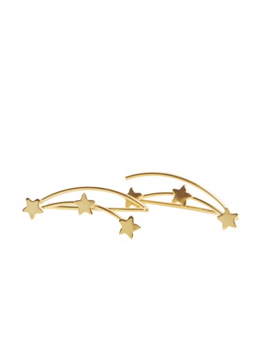 Pendiente trepador de plata dorado