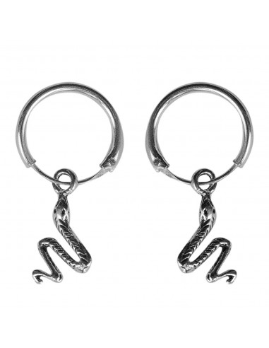 Aro con Serpiente de Plata.