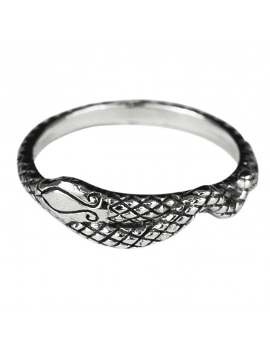 Anillo Serpiente de Plata . Tamaño hombre.
