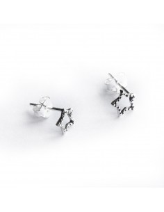 Pendiente estrella de Plata.