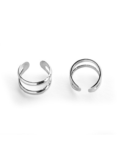 Aro cartílago de Plata.