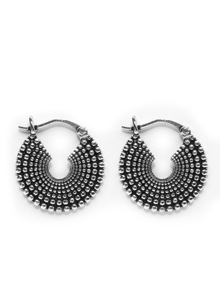 Criolla gallonada de Plata.