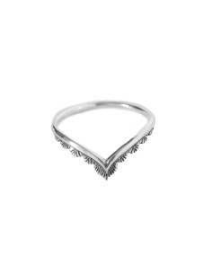 Anillo Pico de Plata