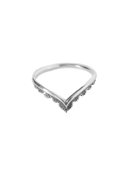 Anillo Pico de Plata
