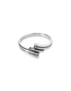 Anillo de Plata. 2