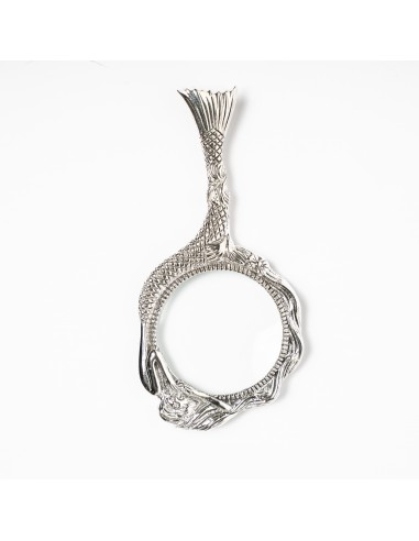 Colgante de lupa y plata